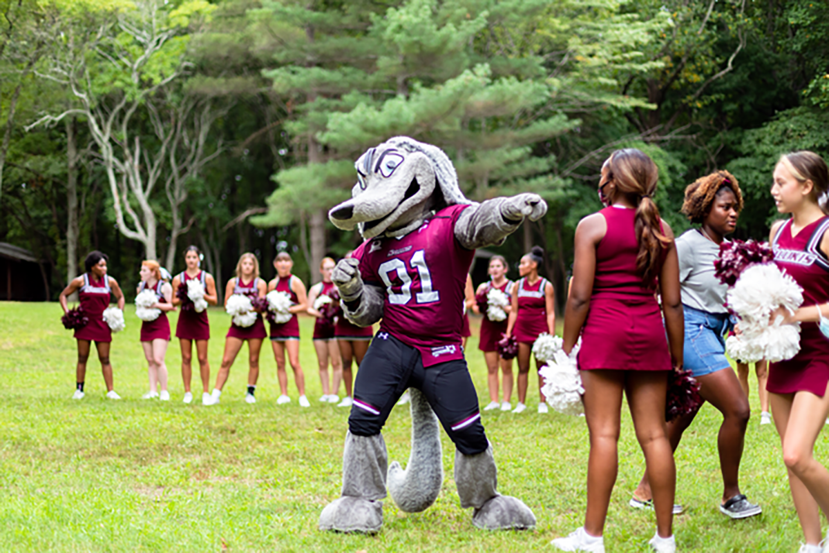 SIU mascot Grey Dawg during Dawg Days event